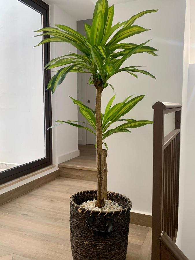 Apartamento Puerta De 2 *