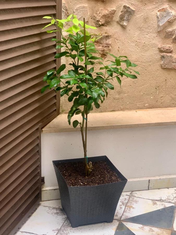 Apartamento Puerta De 2 *
